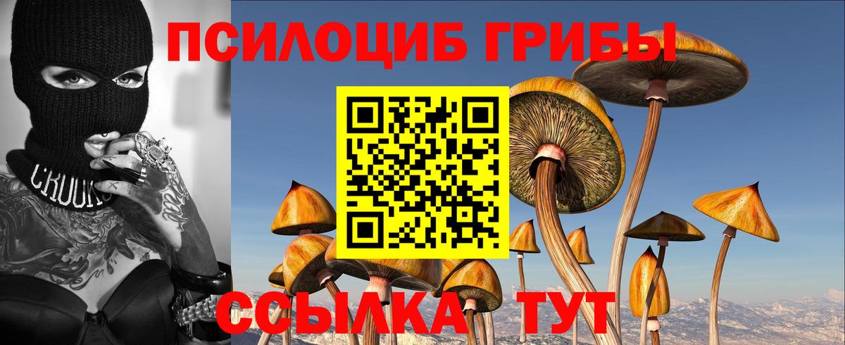 Псилоцибиновые грибы Psilocybine cubensis  Галлюциногенные грибы ЛСД  Вход с VPN  Лангепас 